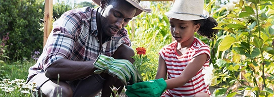 Con sus guantes de jardinería verdes, un padre ayuda a su hija a plantar una flor.